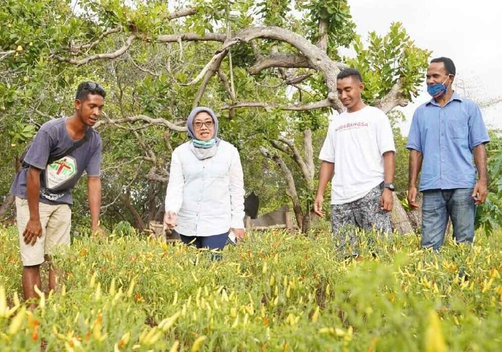 Petani Milenial Ingin Penuhi Pangan Sumba Daya